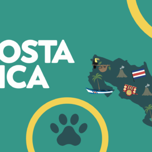 Junior Suite - Costa Rica